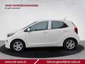 Kia Picanto 1.0 Titan 49 kW (67 PS), Schaltgetriebe, Fronta... Weiß - thumbnail 2