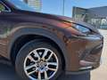 Lexus NX 300 300h Executive Navigation 4WD Marrón - thumbnail 14