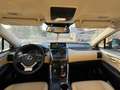Lexus NX 300 300h Executive Navigation 4WD Marrón - thumbnail 9