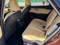 Lexus NX 300 300h Executive Navigation 4WD Marrón - thumbnail 12