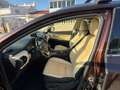 Lexus NX 300 300h Executive Navigation 4WD Marrón - thumbnail 8