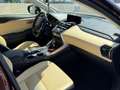 Lexus NX 300 300h Executive Navigation 4WD Marrón - thumbnail 10
