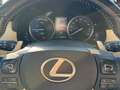 Lexus NX 300 300h Executive Navigation 4WD Marrón - thumbnail 11