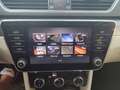 Skoda Superb Style 4x4 Brun - thumbnail 19