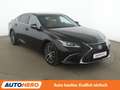 Lexus ES 300 ES 300h Business Aut. *ACC*PDC*CAM*SHZ*NAV*KLIMA* Schwarz - thumbnail 8
