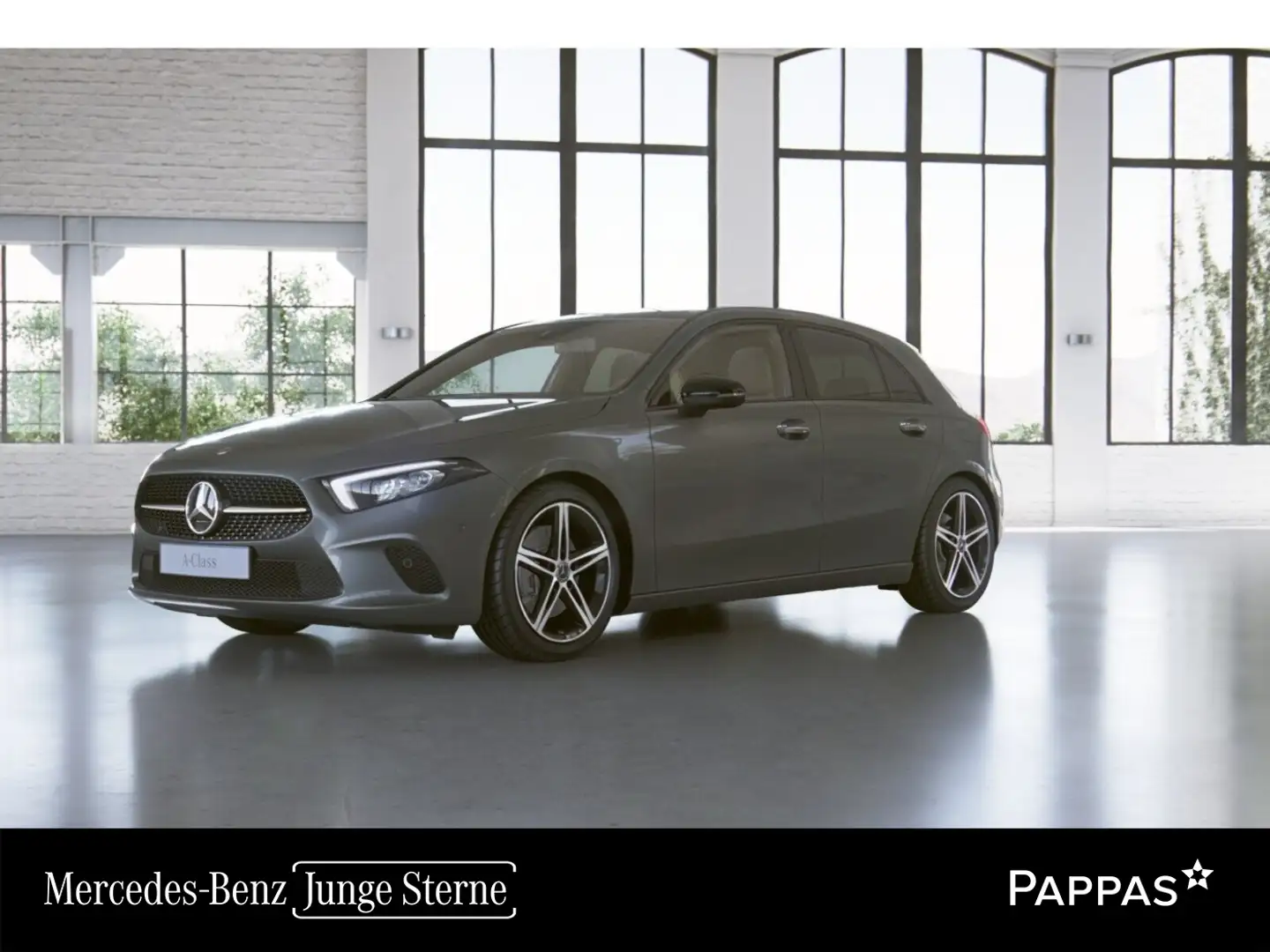 Mercedes-Benz A 250 4MATIC PTS Cam Navi Wide LED SHZ Grau - 1