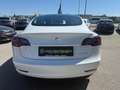 Tesla Model 3 Long Range AWD 75kWh Weiß - thumbnail 5