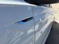 Volkswagen Polo Polo 5p 1.6 tdi Comfortline 80cv Bianco - thumbnail 8