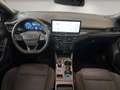 Ford Focus Kombi ST-Line X 120PS Diesel/EcoBlue Automatik ... Blauw - thumbnail 17