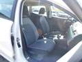 SEAT Ibiza 1,0 TSI Style 48.600 KM/Navi/Sitzheizung Blanc - thumbnail 10