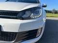 Volkswagen Golf Golf VI 5p 2.0 tdi Gtd dsg Bianco - thumbnail 7
