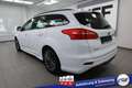 Ford Focus Turnier ST-Line #Bi-Xenon #CD #Winter-P. #Park-... Blanco - thumbnail 9