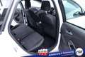 Ford Focus Turnier ST-Line #Bi-Xenon #CD #Winter-P. #Park-... Blanco - thumbnail 12