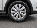 SEAT Arona 1.0 TSI Style KAM LED LM SPURH Weiß - thumbnail 6