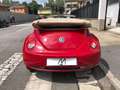 Volkswagen New Beetle Cabrio 1.9 tdi Red - thumbnail 5