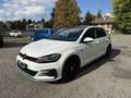Volkswagen Golf GTI Performance 2.0 245CV TSI DSG Bianco - thumbnail 2