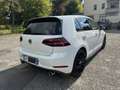 Volkswagen Golf GTI Performance 2.0 245CV TSI DSG Bianco - thumbnail 6
