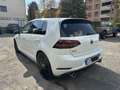Volkswagen Golf GTI Performance 2.0 245CV TSI DSG Bianco - thumbnail 4