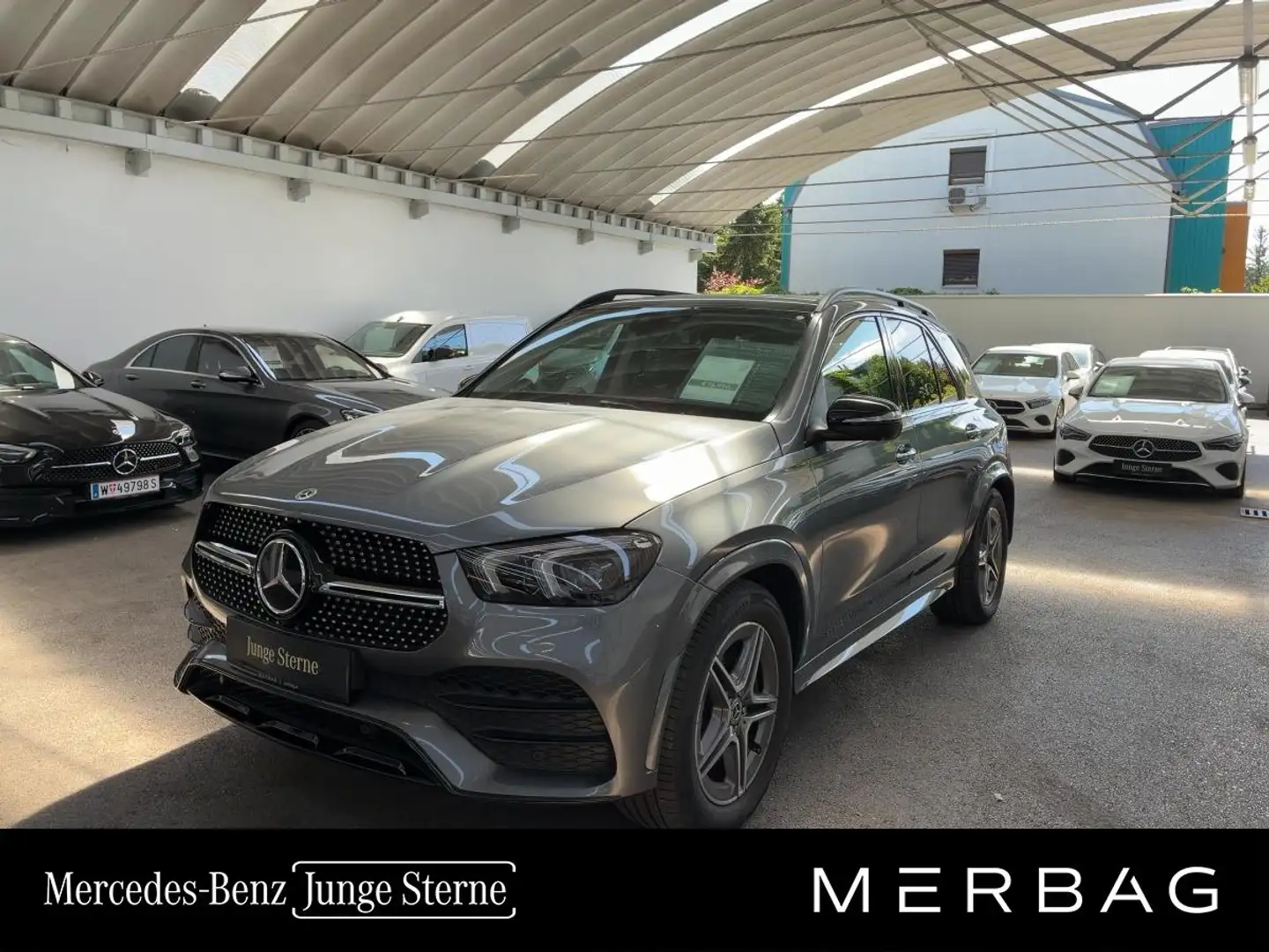 Mercedes-Benz GLE 350 de 4MATIC Grau - 1