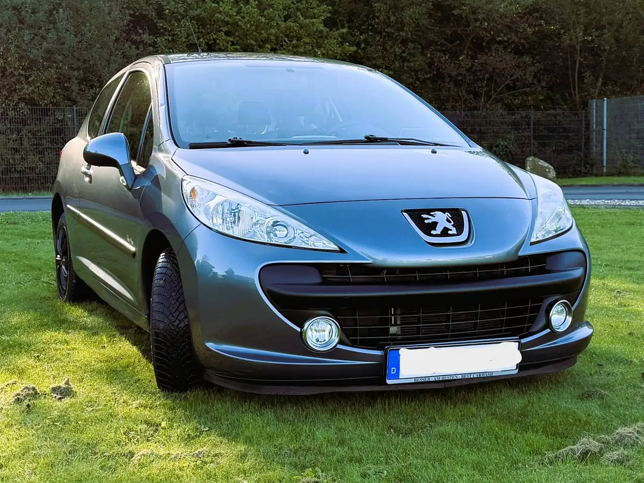Peugeot 207