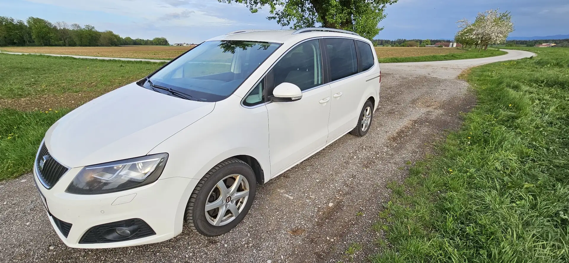 SEAT Alhambra Style 2,0 TDI CR DPF Weiß - 2