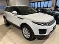 Land Rover Range Rover Evoque 5p 2.2 td4 Launch edition 150cv Bianco - thumbnail 1