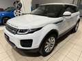 Land Rover Range Rover Evoque 5p 2.2 td4 Launch edition 150cv Bianco - thumbnail 3