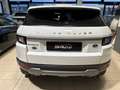 Land Rover Range Rover Evoque 5p 2.2 td4 Launch edition 150cv Bianco - thumbnail 5