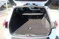 Ford Focus Wagon 1.0 EcoBoost Hybrid 155PK Active X Business Blanc - thumbnail 6