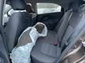 Kia Rio Edition 7 LM Braun - thumbnail 18