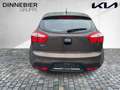 Kia Rio Edition 7 LM Braun - thumbnail 10
