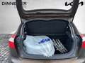 Kia Rio Edition 7 LM Braun - thumbnail 11