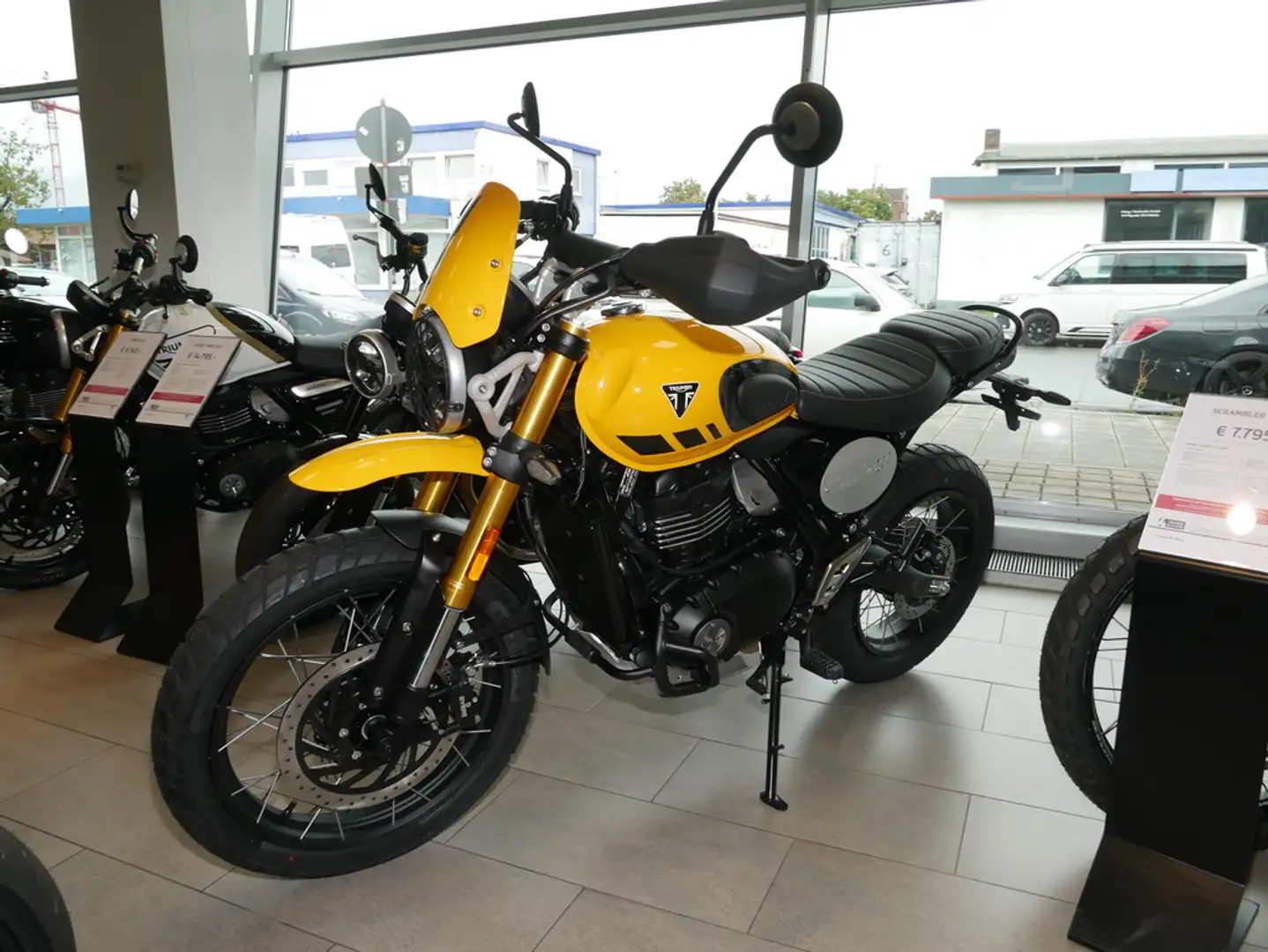Triumph C, sofort verfügbar Geel - 2