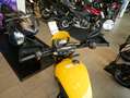 Triumph C, sofort verfügbar Geel - thumbnail 7