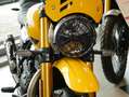 Triumph C, sofort verfügbar Geel - thumbnail 8