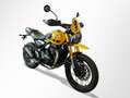 Triumph C, sofort verfügbar Geel - thumbnail 9