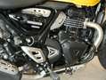 Triumph C, sofort verfügbar Geel - thumbnail 5