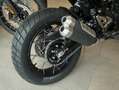 Triumph C, sofort verfügbar Geel - thumbnail 4