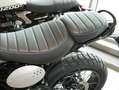 Triumph C, sofort verfügbar Geel - thumbnail 3