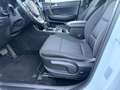Kia Sportage 1.6 crdi mhev Business Class 2wd 136cv dct7 Blanc - thumbnail 5