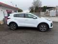 Kia Sportage 1.6 crdi mhev Business Class 2wd 136cv dct7 Blanc - thumbnail 3