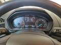 Ford EcoSport 1.5 ecoblue titanium s&s 95cv my20.25 - thumbnail 12