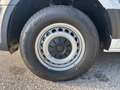 Volkswagen Crafter VW Crafter 35 T6 Kastenwagen L3H3 TDI 4MOTION Weiß - thumbnail 5
