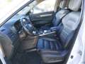 Renault Koleos dCi 175 4WD Initiale X-Tronic Aut. Weiß - thumbnail 5