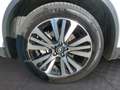 Renault Koleos dCi 175 4WD Initiale X-Tronic Aut. Weiß - thumbnail 14