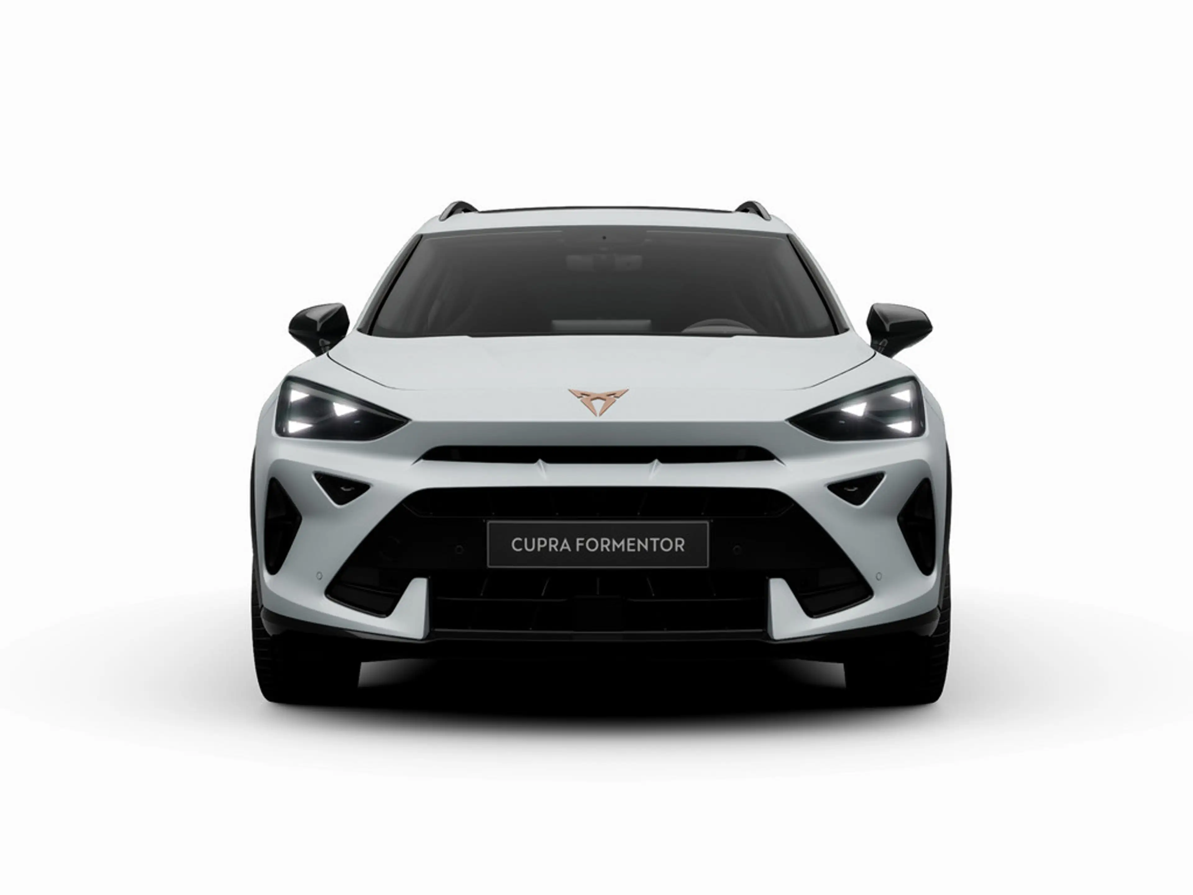 CUPRA Formentor VZ e-Hybrid MATRIX PANO AHK DCC KAM — photo 8
