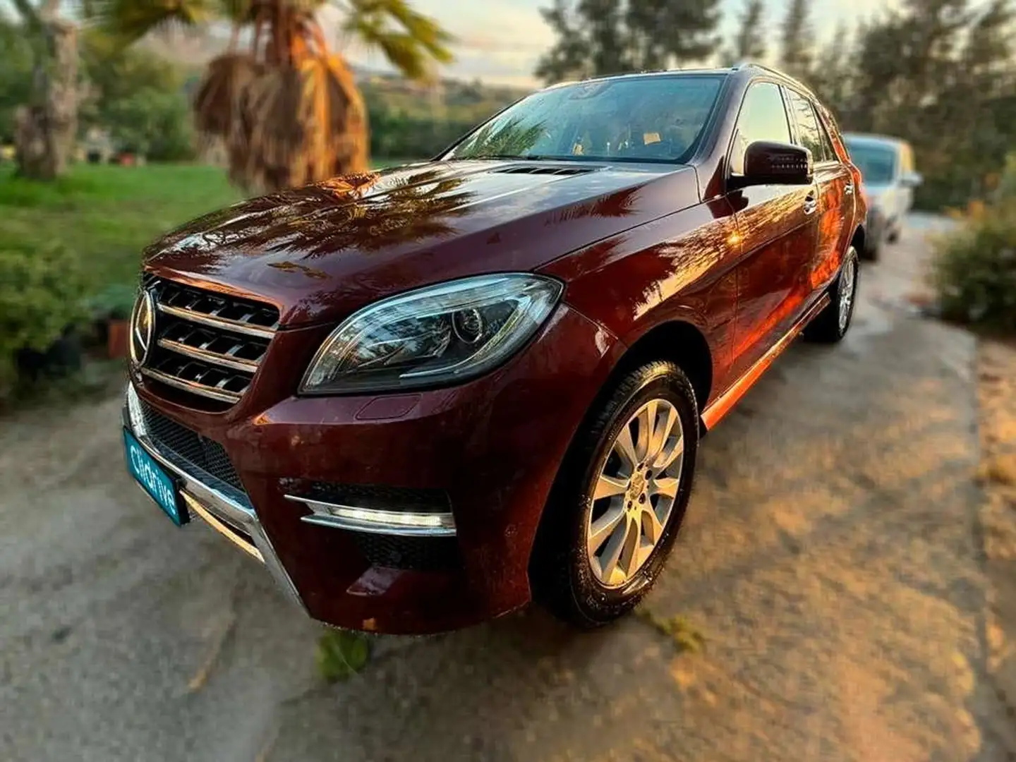 Mercedes-Benz ML 320 350 BlueTEC 4MATIC Mauve - 2