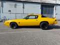 Chevrolet Camaro 5.7cc V8 bumblebee Galben - thumbnail 6