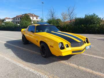 5.7cc V8 bumblebee