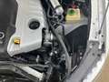 Audi Q7 3.0 TDi V6 Clean Diesel Tiptronic Blanc - thumbnail 28